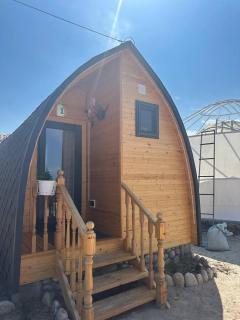 Tasmal Yurt Camp - Tong - 1