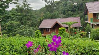 Don's River Valley Jungle Resort - Maraiyūr - 0