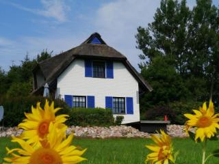Ferienhaus In Poseritz Mit Großem Garten - Poseritz - 8