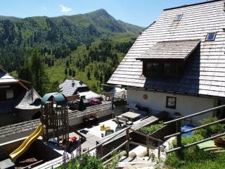 Ferienhaus Kärntnerhaus In Falkertsee - Falkertsee - 1