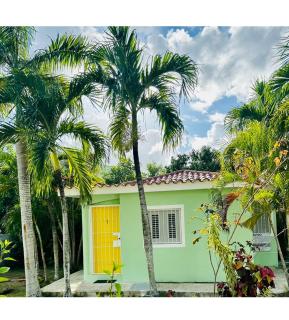 Las Palmeras - La Laguna - 0