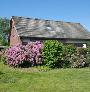 Jadeglück - Sehestedt - 0
