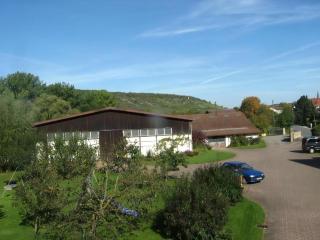 Ferienwohnung Mit Terrasse Und Parkplatz - Igersheim - 7