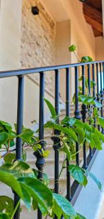 Casale Tre Moschetti - Prossedi - 7