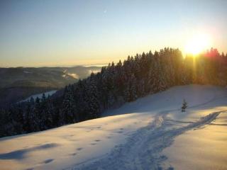 Landhaus Ebser - Todtnau - 3