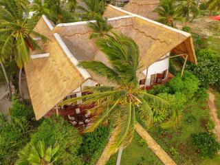 Dar Beach House - Michamvi - 5