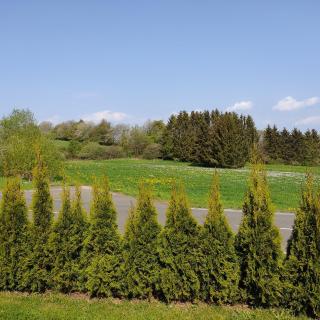 Erholung in der Vulkaneifel - - 9