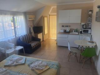 Apartments Ivelin - Lozenets - 9