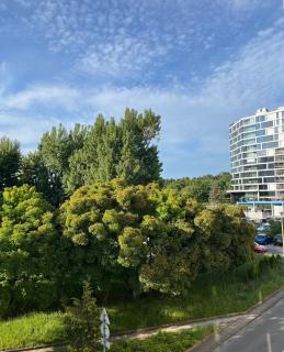 SulMare Apartament Nadmorski - Gdańsk - 9