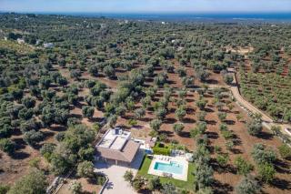 Villa Mincodda by Villa Plus - Carovigno - 9