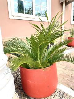 Green Petals Haven in Mbweni - - 1