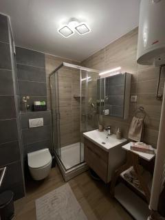 Apartman foRest Green Hills Divčibare - 3