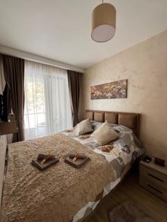 Apartman foRest Green Hills Divčibare - Divčibare - 2