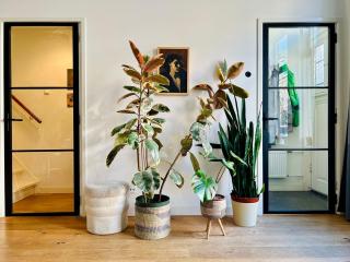 Your Beautiful Home in Haarlem - 5