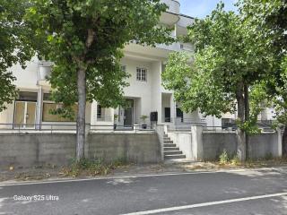 Garça-Real - 3