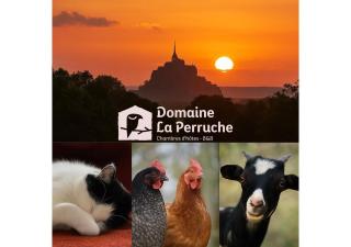 Domaine La Perruche Parenthèse poétique Vue Mont-Saint-Michel & Petit-déjeuner festin - Servon - 0