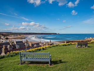 1 Bed in Cullen 94536 - Cullen - 8