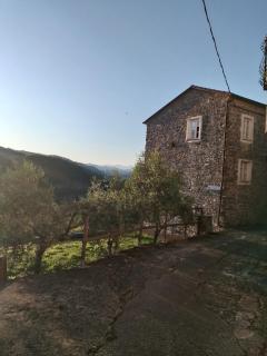 Casa Rossella - Cinque Terre - 5