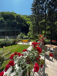 Casa Trei Brazi Bratca - Bratca - 1
