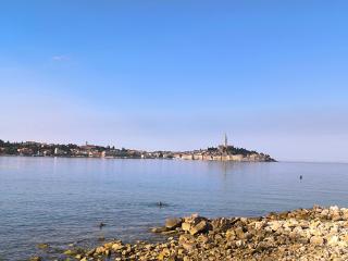 Near the beach PELAGIC - 5