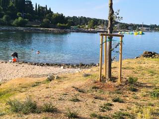 Near the beach PELAGIC - 8