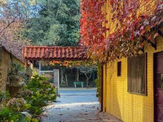 Petit Hotel Provence Gramado - Gramado - 3