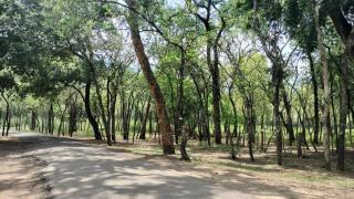 Greenmount Residency - 3