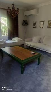 Kifissia 50's designer house - Athen - 8
