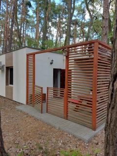 W sosnowym lesie - Lubniewice - 8