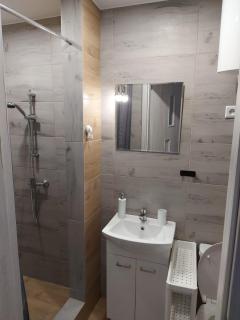 W sosnowym lesie - 7