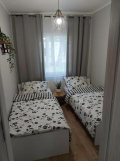 W sosnowym lesie - Lubniewice - 5