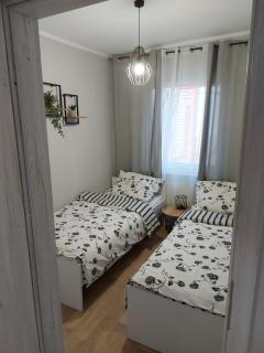 W sosnowym lesie - Lubniewice - 1