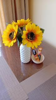 Medijana Apartments Niš - 1