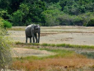 Sajee Residence Trincomalee - Trincomalee - 3