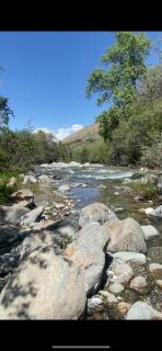 Sanera Bega Guesthoise - - 2