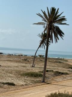 Beach house - Zarzis - 5
