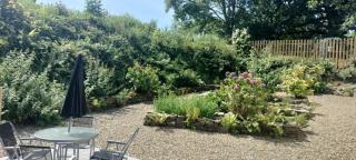 Dog friendly rural location - Llanerch-Aeron - 7