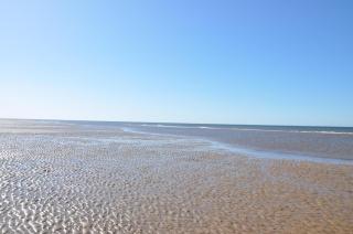 Luxury 2 Bed Caravan Heacham Beach Pets go Free - Hunstanton - 7