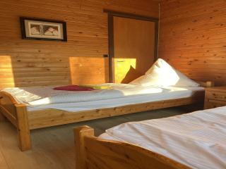 Cozy holiday home on a horse farm in the Lüneburg Heath - Eschede - 4
