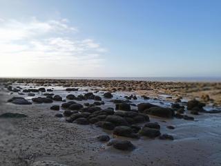 Luxury 2 Bed Caravan Heacham Beach Pets go Free - Hunstanton - 5