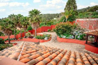 Finca La Chamusca - Icod de los Vinos - 9