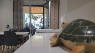 White Apartment Valamar Residence - Draç - 4