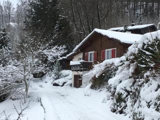 Ferienhaus mit Berg-und Seesicht - Filzbach - 5