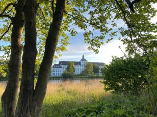 Ferienwohnung Wikinger Nest 13 10 im Wikingturm - Schleswig - 1