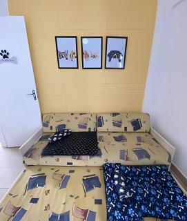 Pet friendly para toda família em Santos - Santos - 2