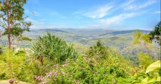 Maleny-Montville Cottages #2, 2 bed with ocean views - Balmoral Ridge - 6