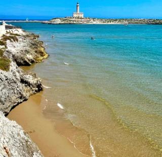 Suite bianca - Vieste - 2