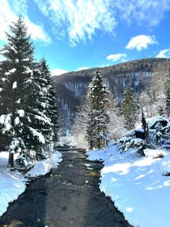 Forest house AVA - 4