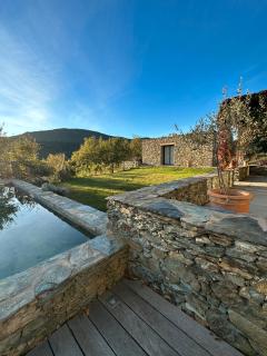 Chambres d'hote Bergerie A Maredda - Murato - 5