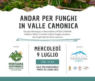 PARK SIDE Apartment - Ponte di Legno - 8
